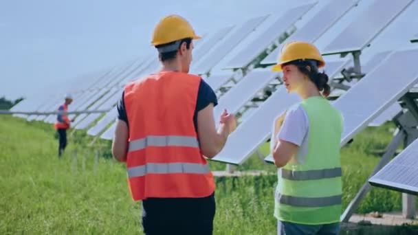 Charismatic Young Lady Guy Technician Workers Solar Power Farm Analysing — Vídeo de Stock