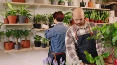 In a beautiful green floral store the florist man and woman working together taking care after the flowers from the pot concept of small business entrepreneur. Shot on ARRI Alexa Mini
