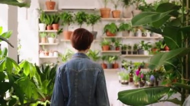 Walking through the floral store pretty florist woman and standing up on the ladder o check the plants from the shop shelves very carefully. Shot on ARRI Alexa Mini