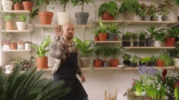 Дуже Харизматично Виглядає Чоловік Який Танцює Магазині Квітів Він Підприємцем — стокове відео
