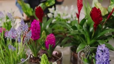 Charismatic woman and guy at the floral store working together they using the laptop to check the inventory of the shop concept of small family business. 4k