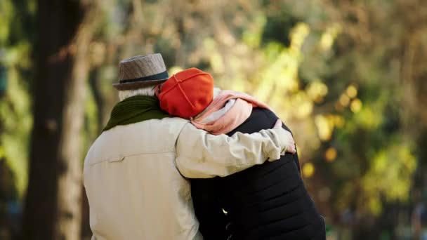 Beautiful Autumn Day Park Old Couple Hugging Each Other While — Stockvideo