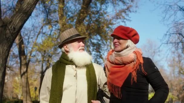 Front Camera Beautiful Old Couple Romantic Have Promenade Park Hugging — Wideo stockowe