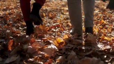 In the large park in a late autumn day capturing closeup to the camera details of a walking couple through the orange leaves. Shot on ARRI Alexa Mini.