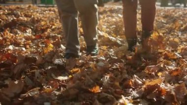In the late autumn day in the middle of the park couple walking through the orange leaves closeup capturing legs. 4k