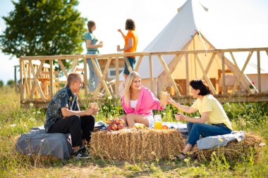 At the campground the group of friends have a picnic they discussing and enjoy the time together at the nature.