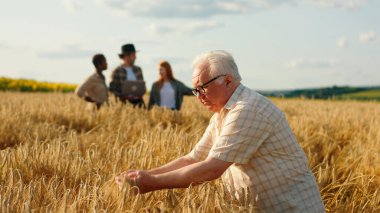 Harika görünümlü yaşlı adam buğday tarlasının ortasında diğer aile üyeleriyle birlikte bu yılın hasadını analiz ediyor..