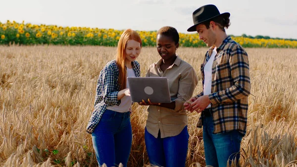 Środku Pola Pszenicy Młodzi Rolnicy Laptopem Analizują Zbiory Ostatnich Lat — Zdjęcie stockowe