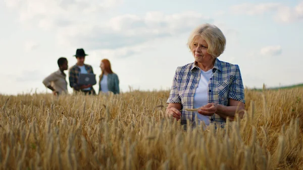 Beautiful Old Woman Farmer Other Family Members Multiethnic Analysing Harvest — Foto de Stock