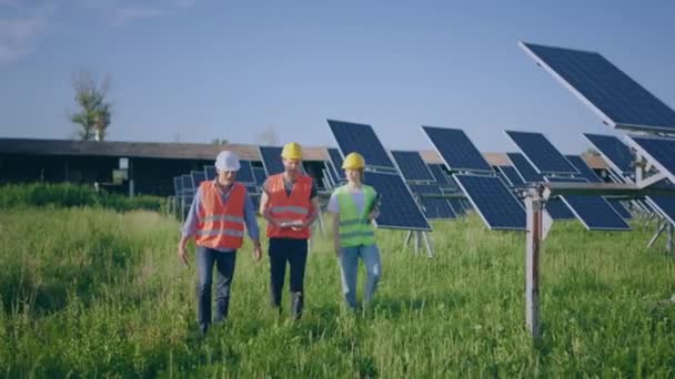 Walking Camera Happy Group Investors Ecological Engineer Photovoltaic Solar Farm — Stockvideo