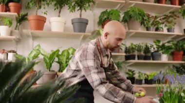 Girişimci kavramı ve çiçekçide küçük bir çiçekçi dükkanı sahibi Paskalya yumurtası ve çiçekleriyle güzel bir Paskalya kompozisyonu yapar. 4k