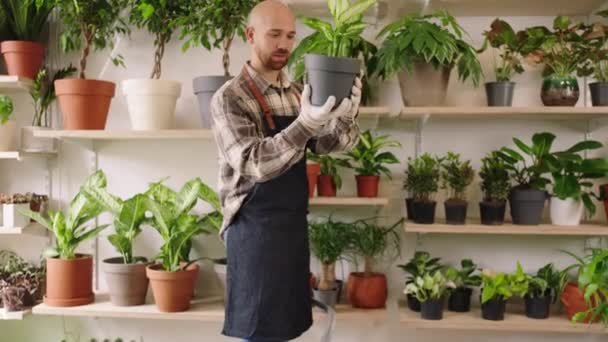 Pohledný Muž Květinářství Vzít Rostliny Dát Přes Prodejnu Police Moderní — Stock video