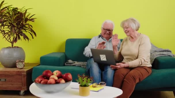 Karizmatik Yaşlı Çift Bilgisayar Başında Otururken Çok Mutlu Bir Şekilde — Stok video