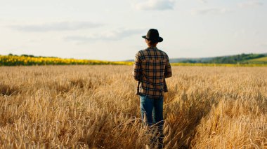 In front of the camera taking video from the back walking to the large wheat field farmer man he enjoy the time and analysing the harvest. Portrait