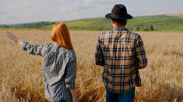 Atractiva Pareja Agricultores Tienen Tiempo Análisis Cosecha Este Año Medio — Foto de Stock