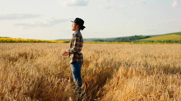 Front Camera Taking Video Back Walking Large Wheat Field Farmer — Fotografia de Stock