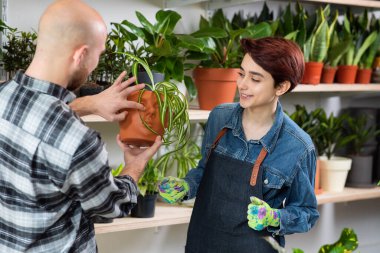 Çiçekçide çalışan çekici bir bayan müşteriyle tartıştı. Raflardan küçük bir bitki aldı..