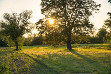 Parkın güzel manzarası