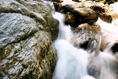 Ormanda güzel bir şelale