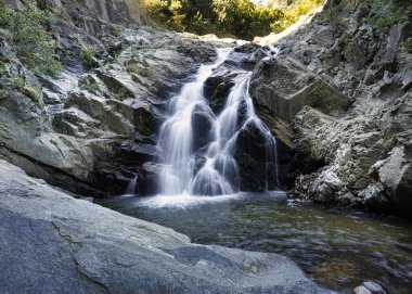 Ormanda güzel bir şelale