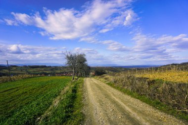 beautiful landscape with green meadow and blue sky with clouds