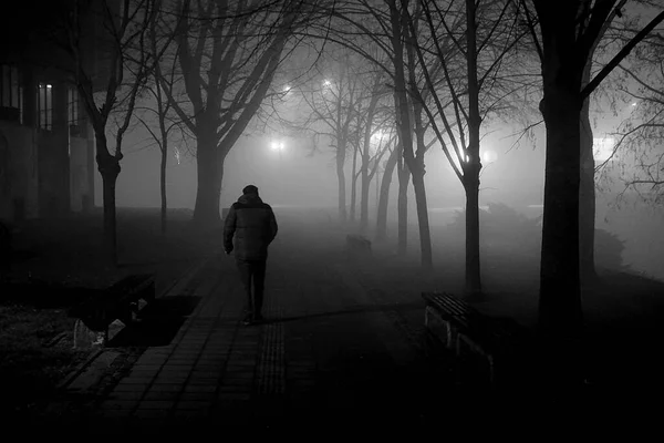 silhouette of man in the foggy park in black and white 