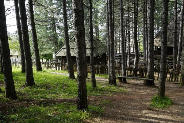 Красивый Вид Деревянные Дома Лесу — стоковое фото