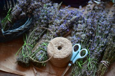 Bir demet lavanta çiçeği, çuval bezi ve makas.  