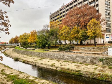 Sonbaharda nehir ve ağaçlarla dolu şehir manzarası