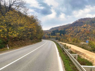 Yol ve ağaçlarla dolu sonbahar manzarası