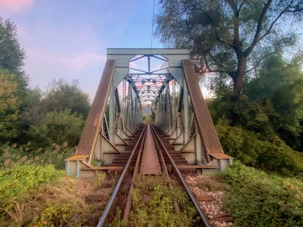 Ormandaki Demiryolu Köprüsü — Stok fotoğraf