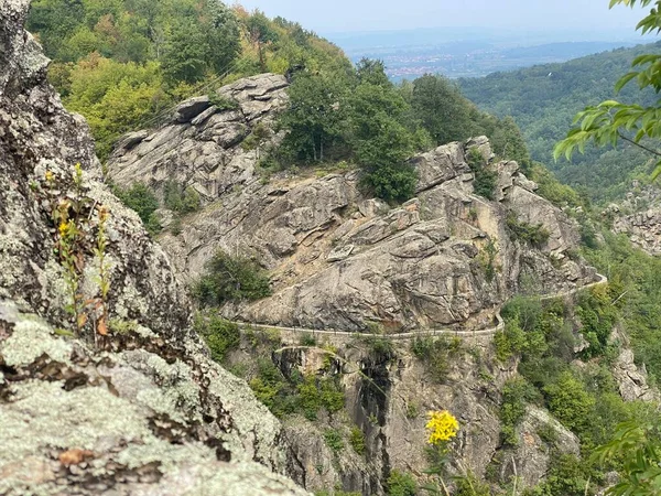 Prachtige Berglandschap Met Forest — Stockfoto