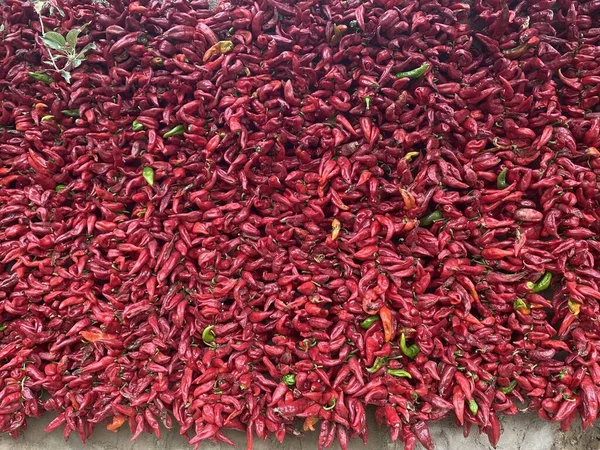 Rote Chilischoten Auf Dem Markt — Stockfoto