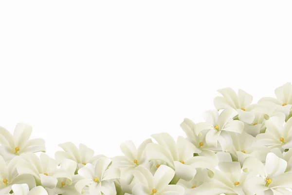 Λευκά Λουλούδια Απομονωμένα Λευκό Φόντο Ρεαλιστικό Αρχείο Eps — Διανυσματικό Αρχείο