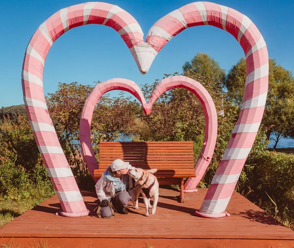 Una Ragazza Bacia Labrador Nello Scenario Dei Cuori Amore Cura — Foto Stock