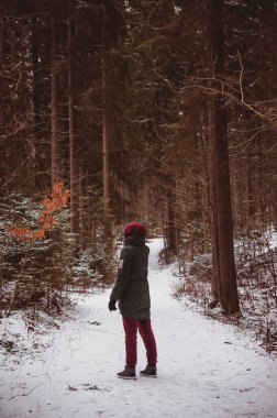 Bir insan kış ormanında bir yolda duruyor.