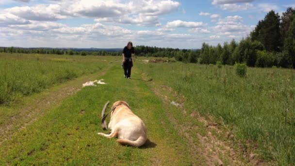 Дівчина Підкрадається Собаки Бреше Собака Нападає Стрибку Граючи Собакою Містом — стокове відео