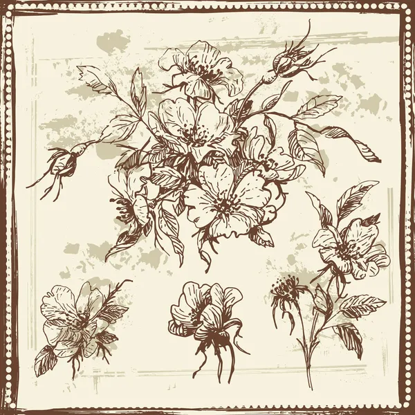 Ручной рисунок собачьих розовых цветов — стоковый вектор