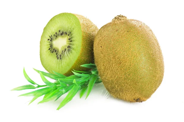 Kiwi — Foto Stock