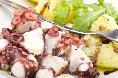 ahtapot salatası