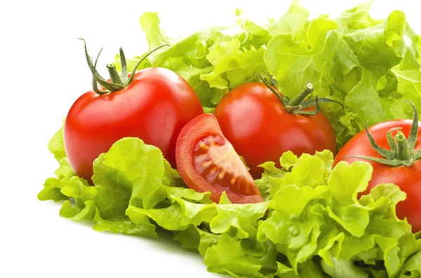 Tomaten — Stockfoto