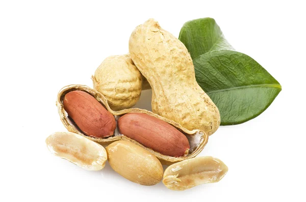 Peanuts — Stock Photo, Image