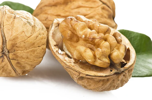 Walnut — Stock Photo, Image