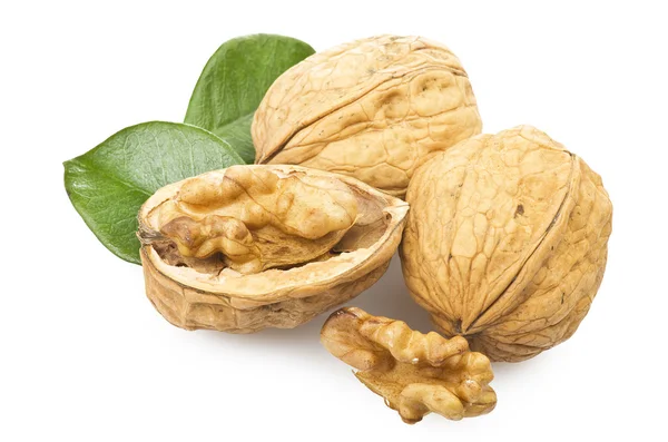 Walnut — Stock Photo, Image