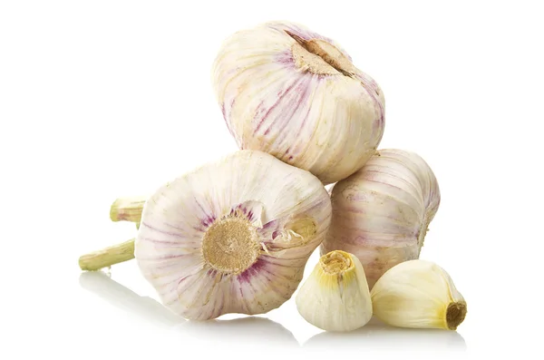 Frischer Knoblauch — Stockfoto