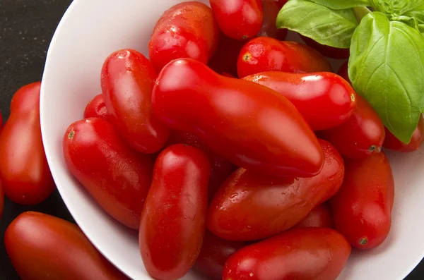 Tomates para salsa —  Fotos de Stock