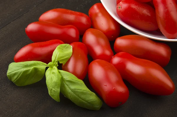 Tomates de molho — Fotografia de Stock