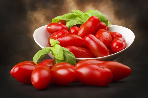 Tomates de molho — Fotografia de Stock
