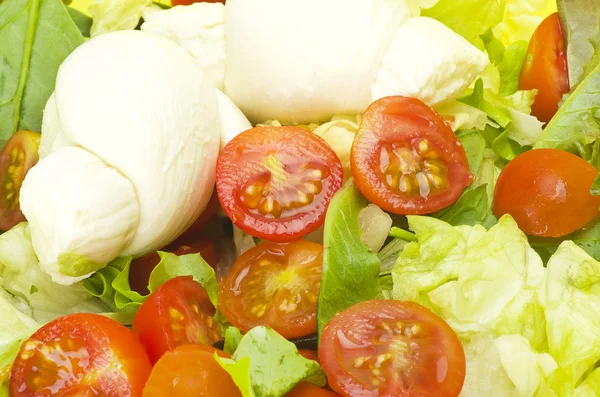 Sallad mozzarella och tomater — Stockfoto