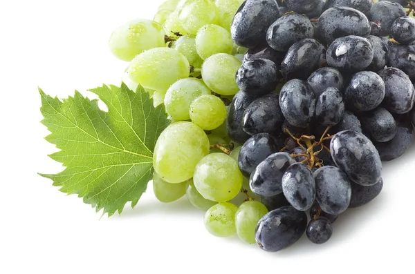 Свежесть винограда — стоковое фото